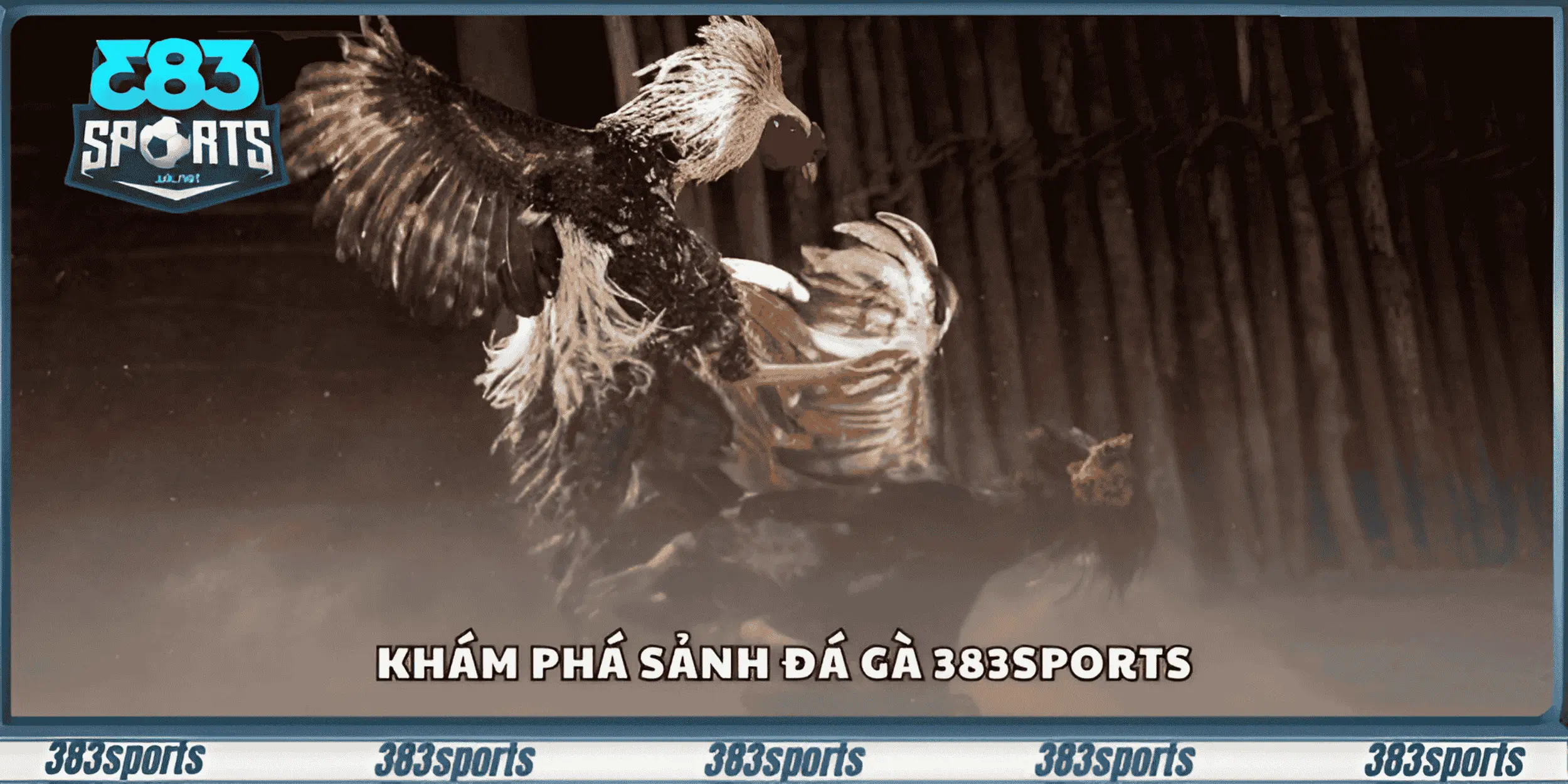 Khám phá sảnh đá gà 383sports