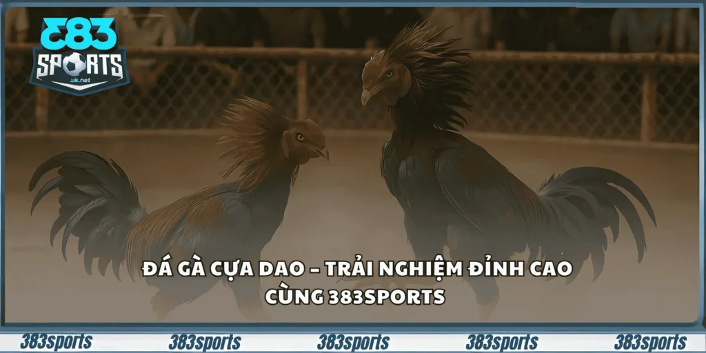 đá gà cựa dao