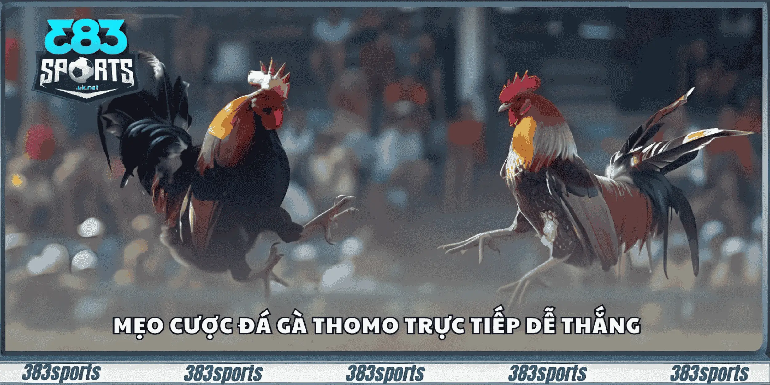 Mẹo cược đá gà Thomo trực tiếp dễ thắng