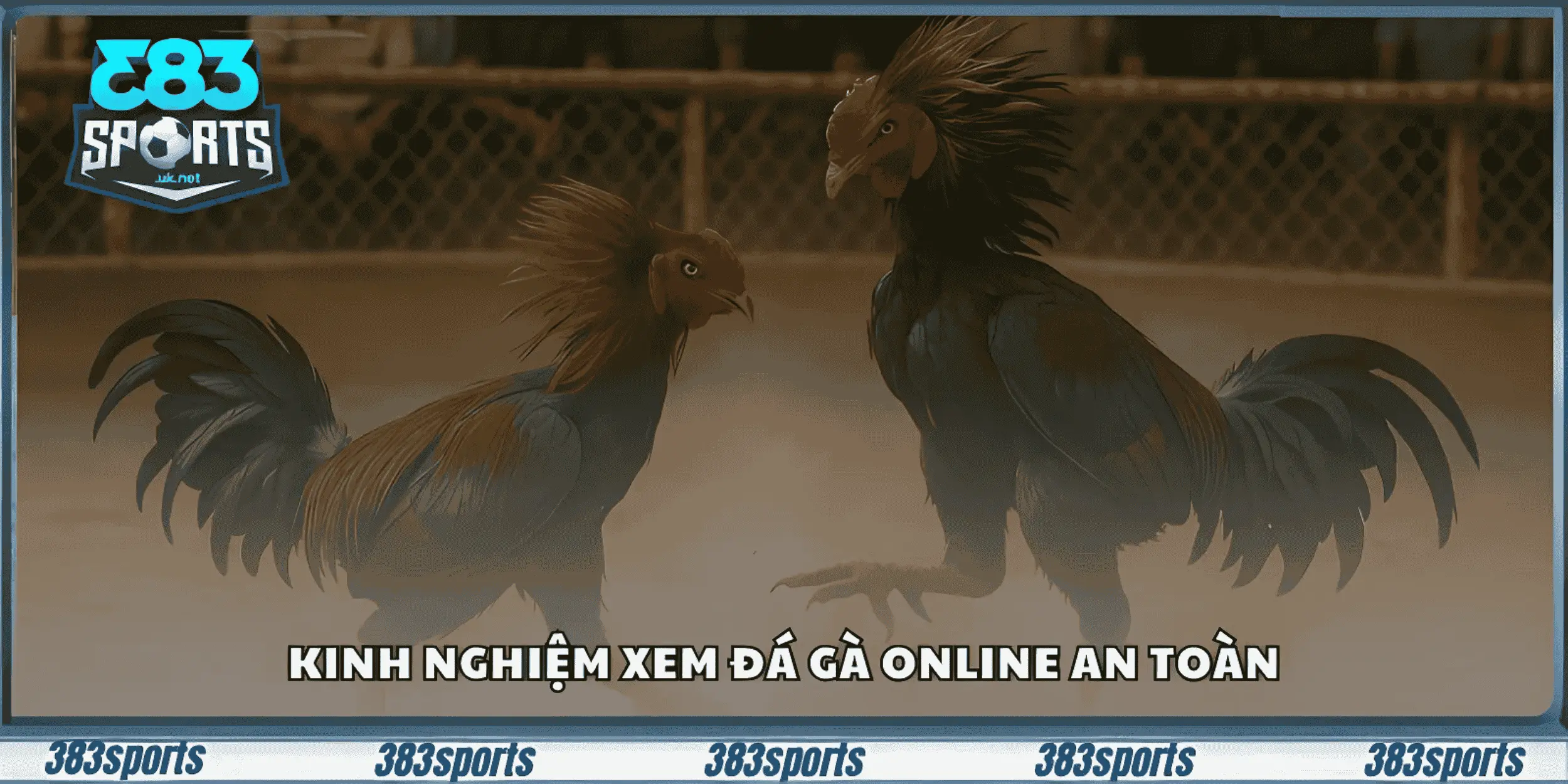 Kinh nghiệm xem đá gà online an toàn
