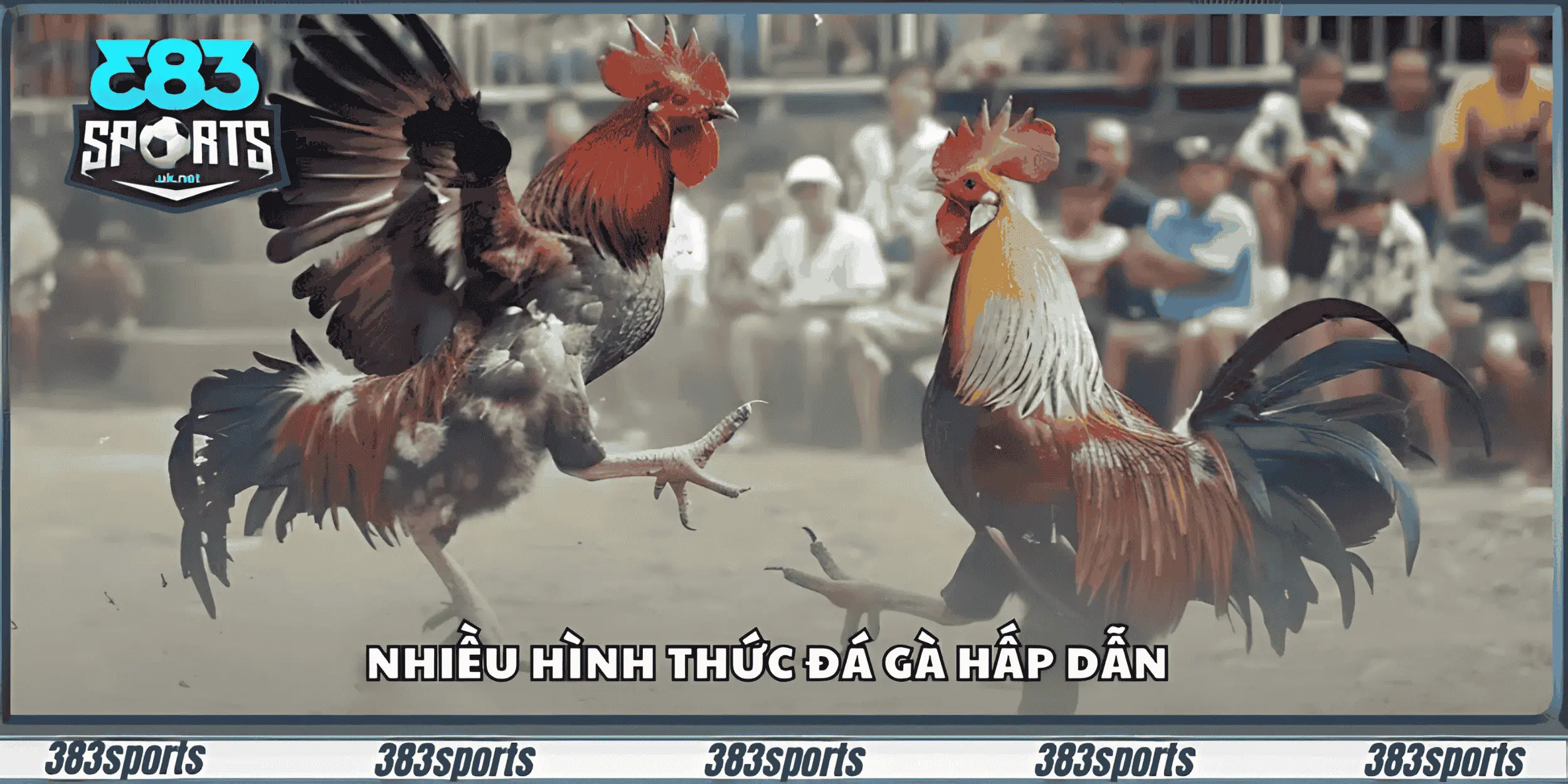 Nhiều hình thức đá gà hấp dẫn