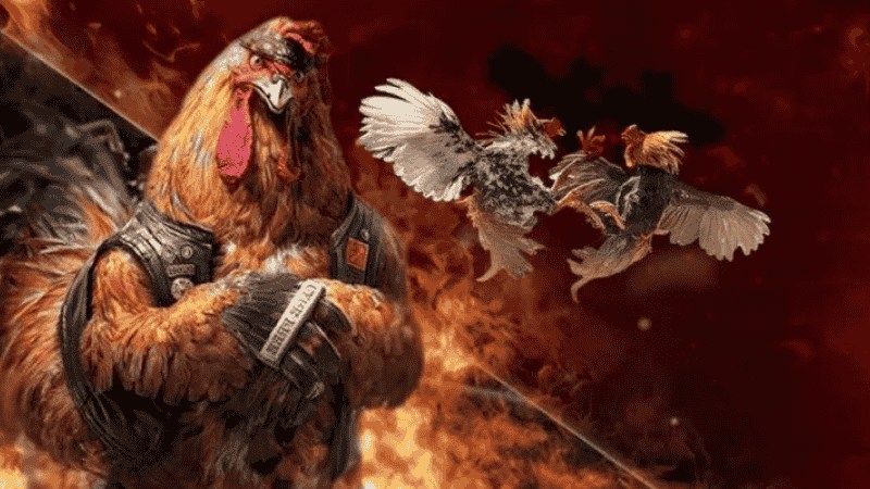 Tìm hiểu Đá Gà Online là gì